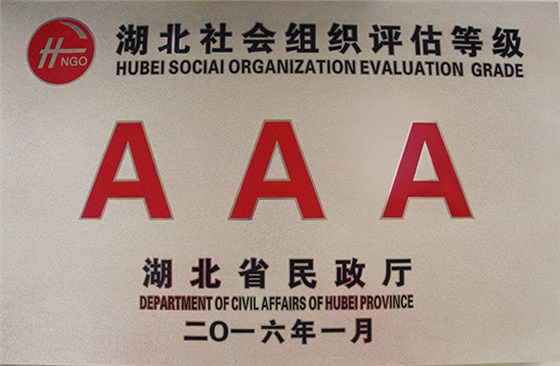 湖北社会组织评估等级证书-铜牌