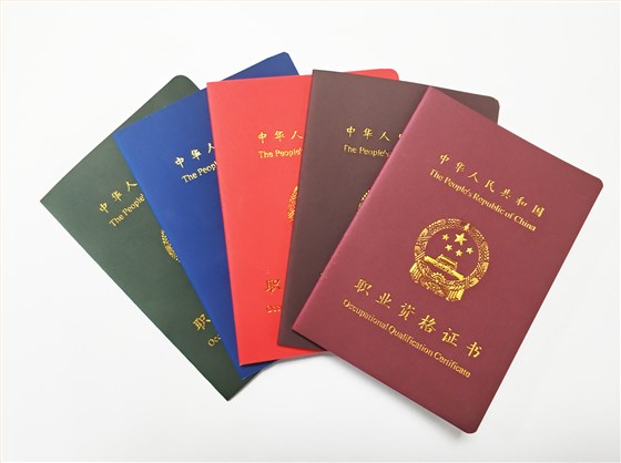 专升本路上的启明灯—最新咨询解读