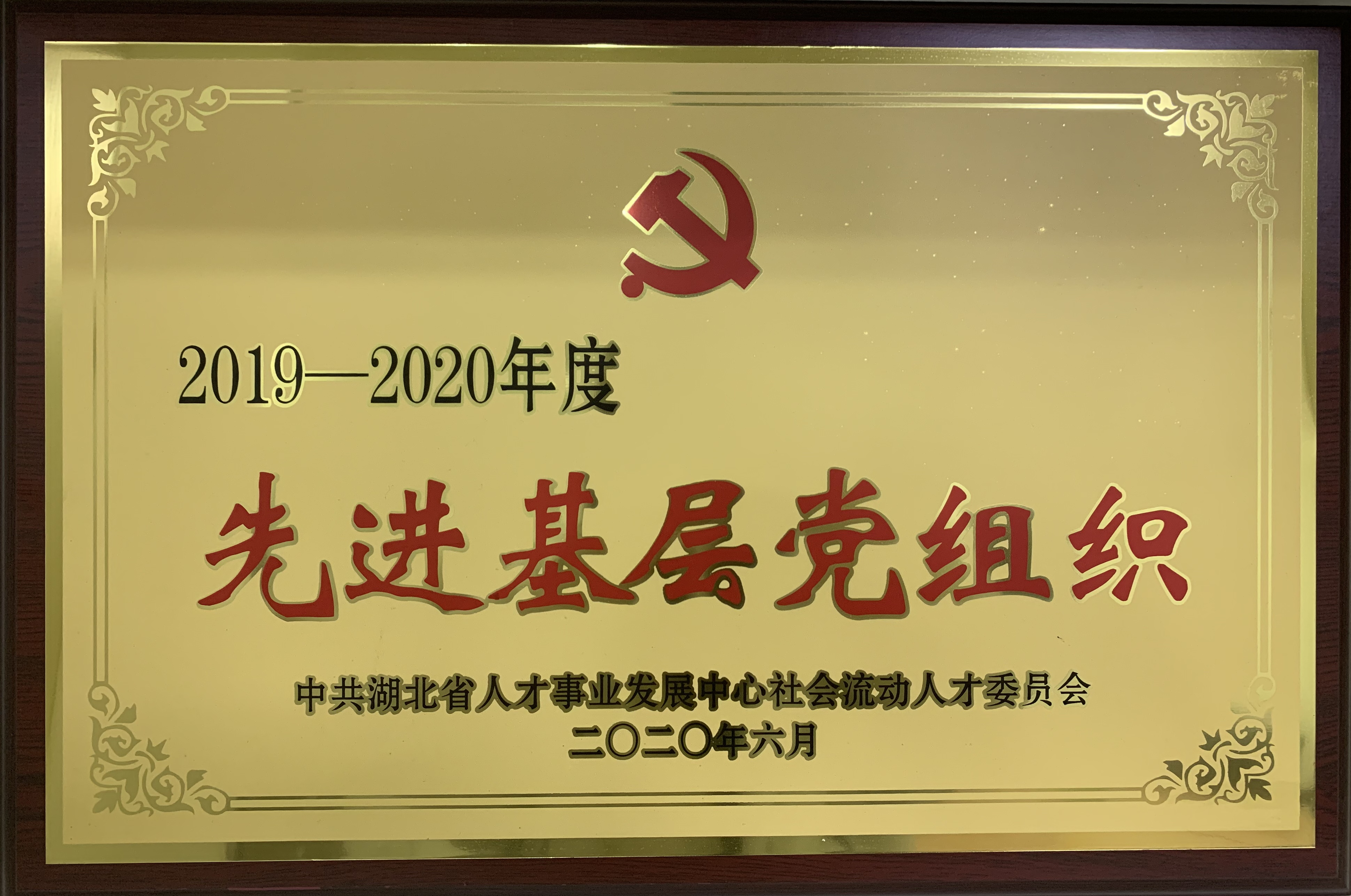 2019~2020年度先进基层党组织