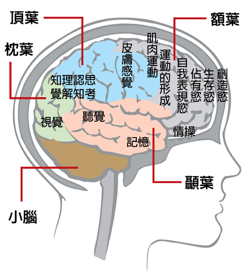 天赋基因测评告诉你｜生命能量报告包含哪些内容？